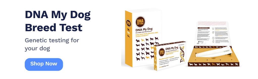 DNA My Dog Banner